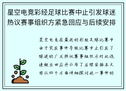 星空电竞彩经足球比赛中止引发球迷热议赛事组织方紧急回应与后续安排